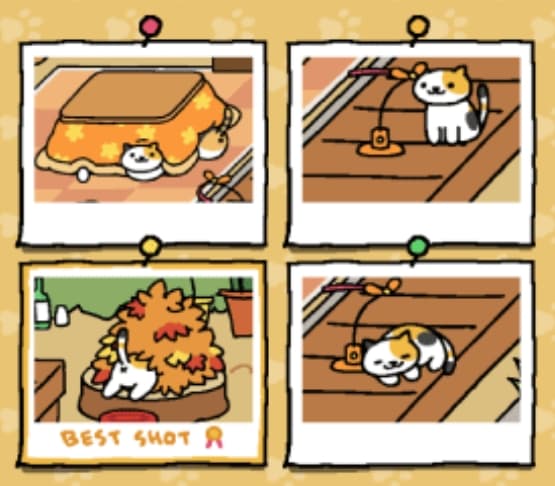 Neko Atsume Gameplay Screenshot